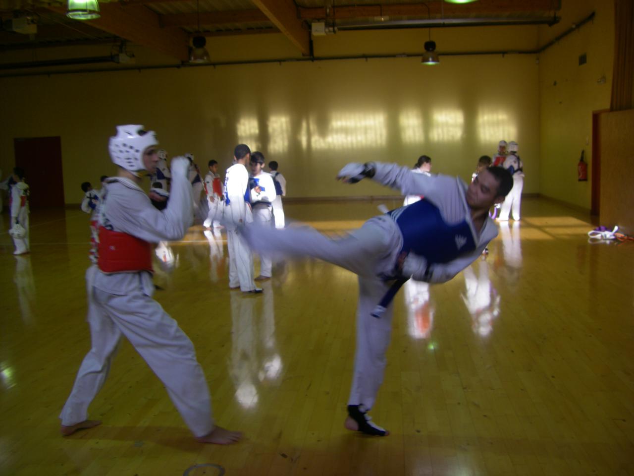 Entrainement combat 24 11 2012 (15)