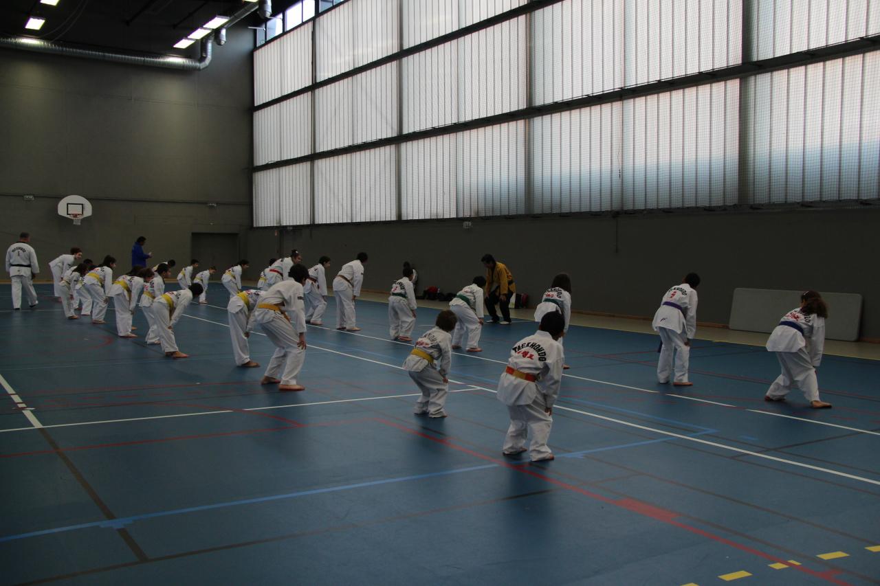 Stage GME KIM Jong-Wan 18 01 2014 Bezons