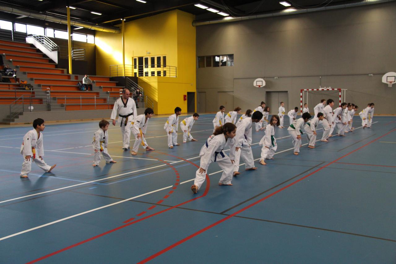 Stage GME KIM Jong-Wan 18 01 2014 Bezons