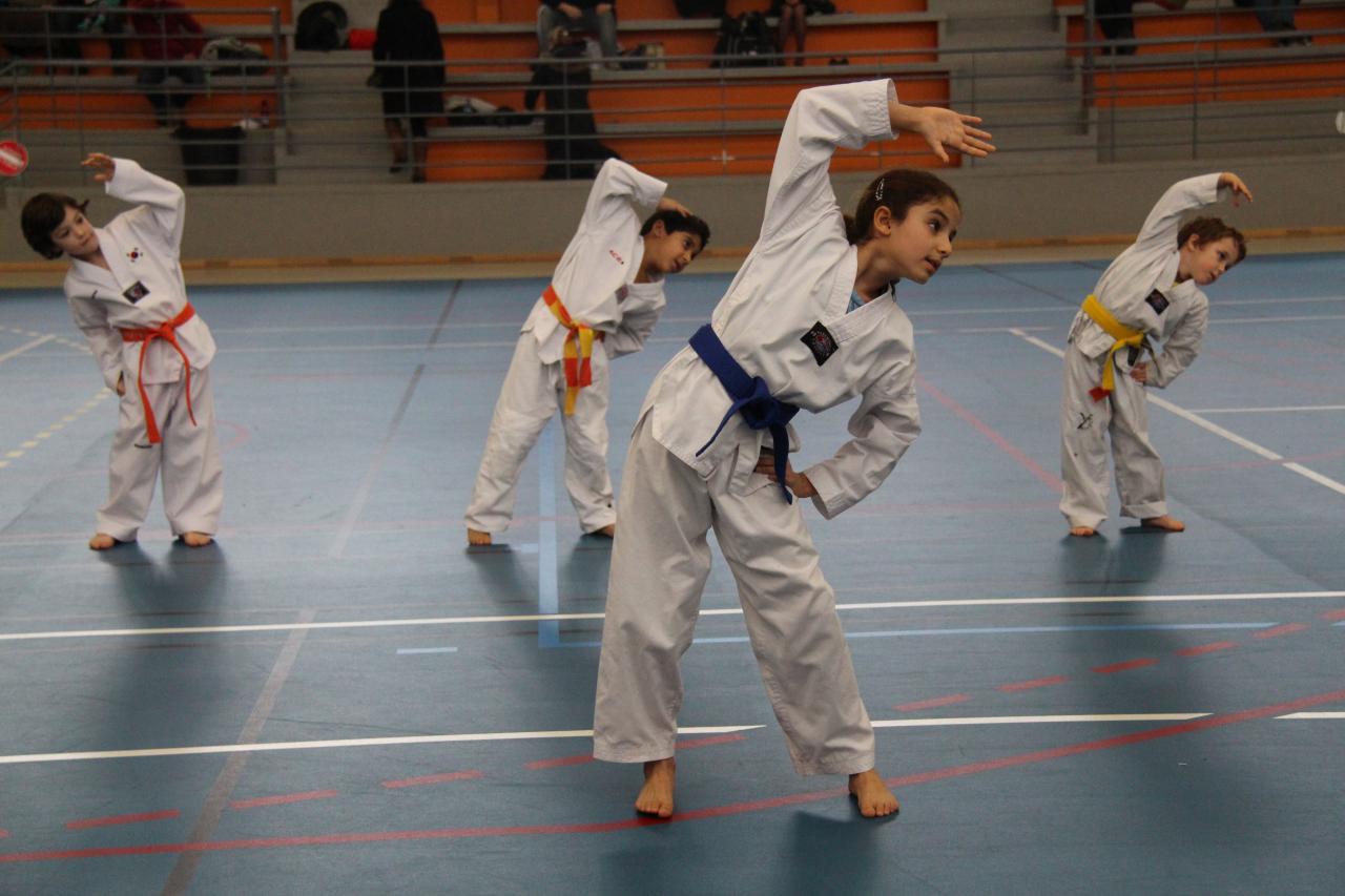 Stage GME KIM Jong-Wan 18 01 2014 Bezons