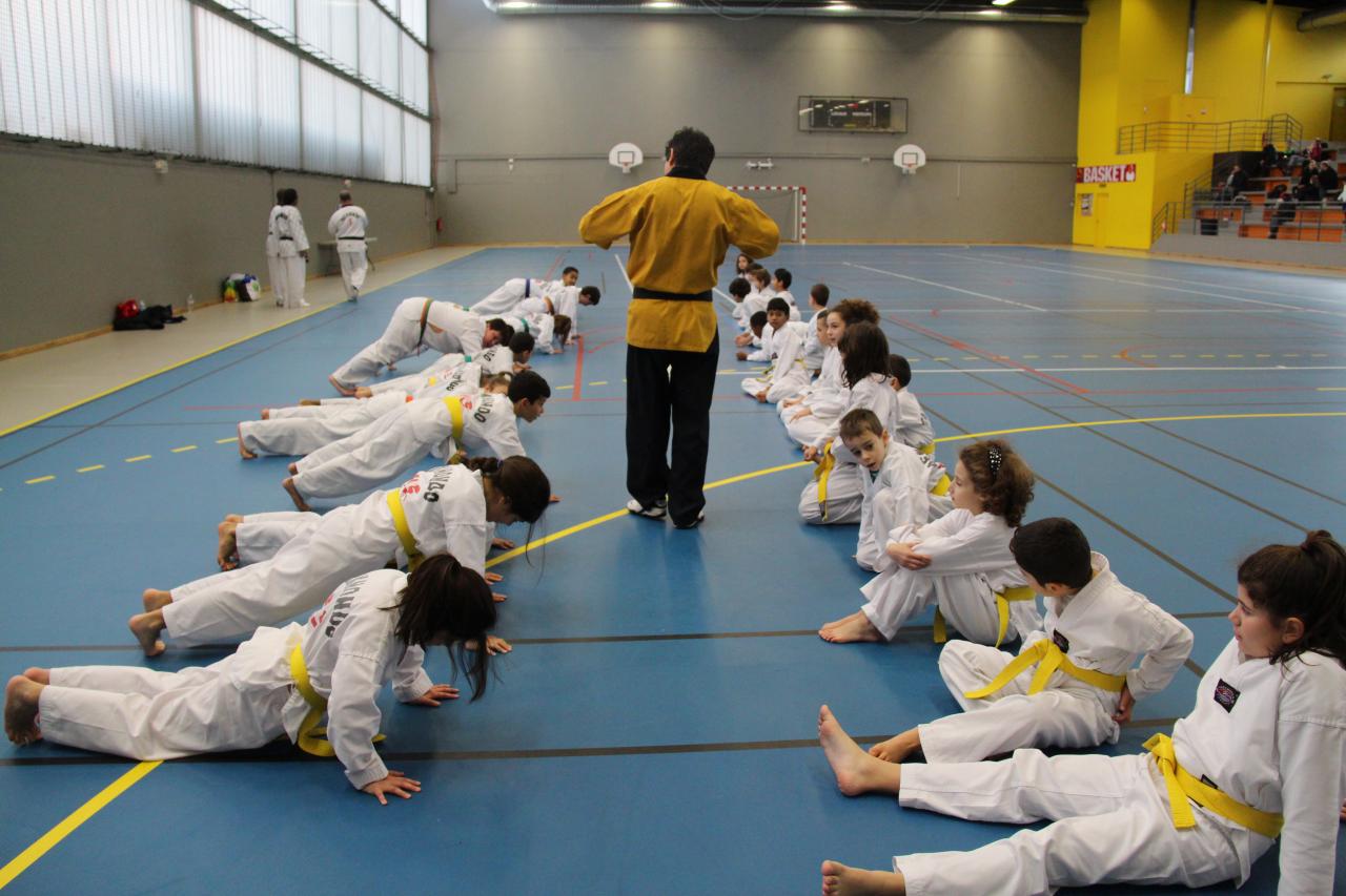 Stage GME KIM Jong-Wan 18 01 2014 Bezons