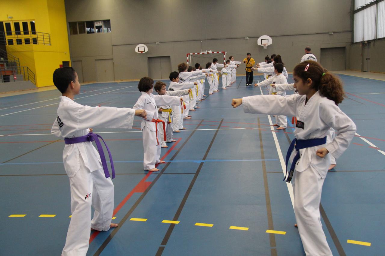 Stage GME KIM Jong-Wan 18 01 2014 Bezons