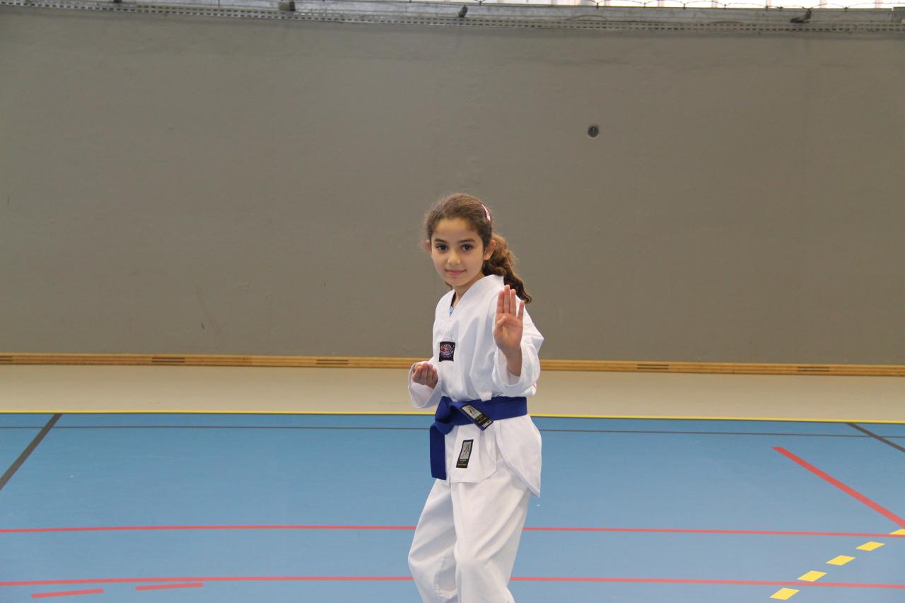 Stage GME KIM Jong-Wan 18 01 2014 Bezons